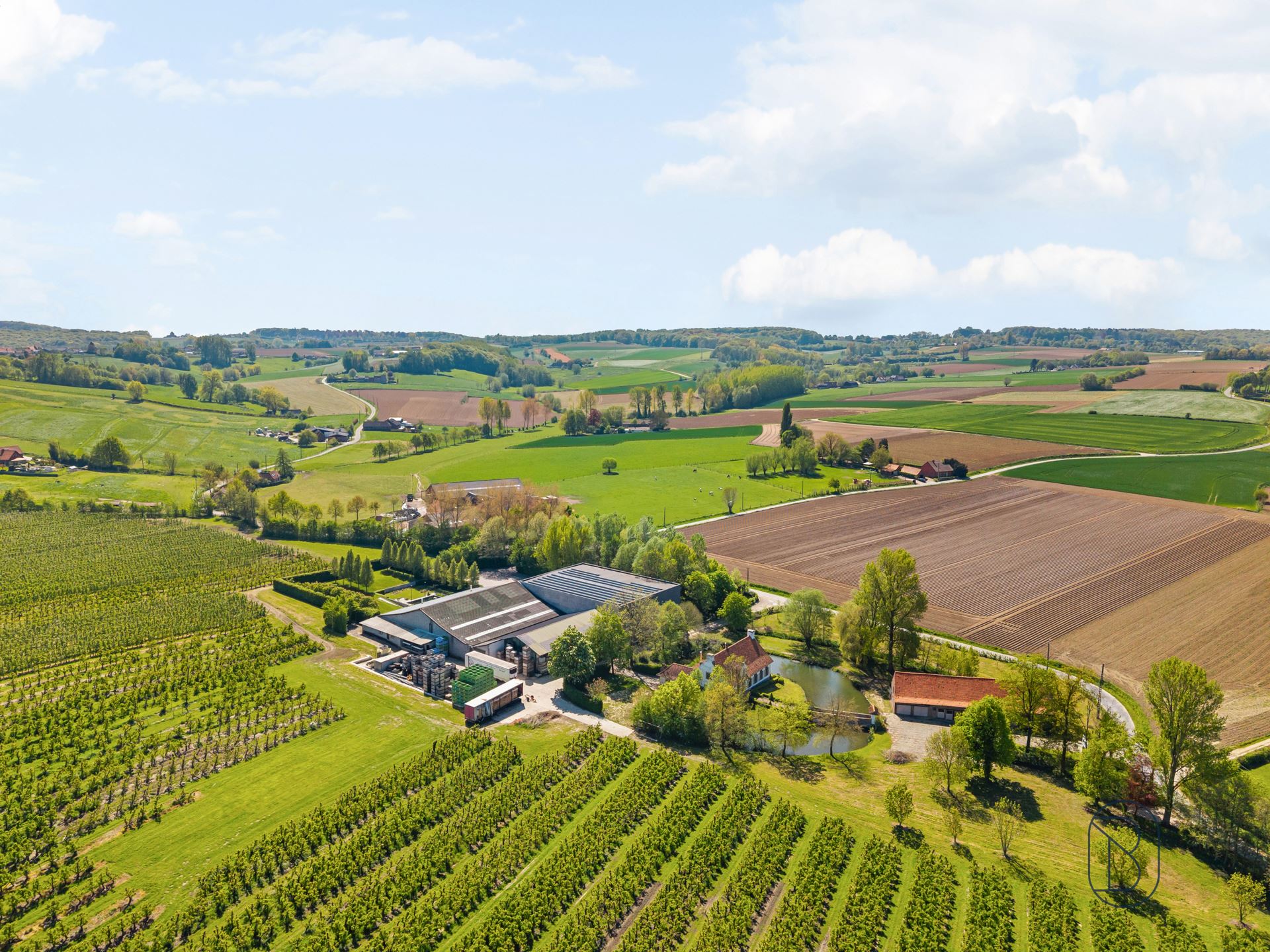 Unieke eigendom op 18 hectare te Kwaremont - foto 5