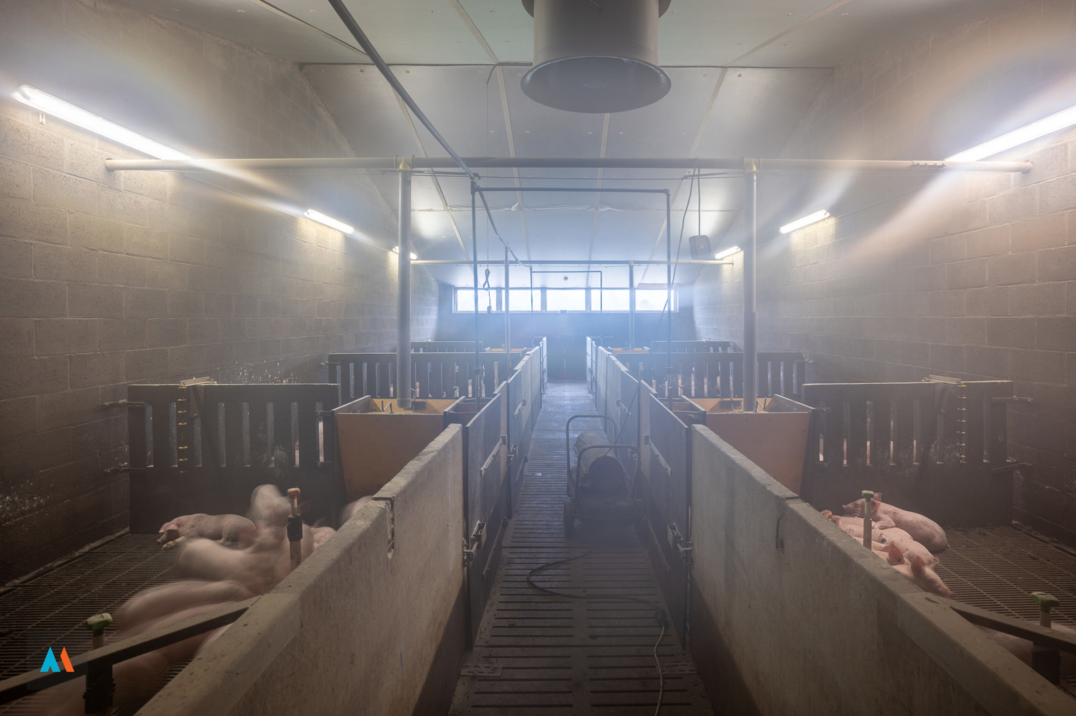 Maison à vendre à Hoogstraten avec 4 chambres - photo 5