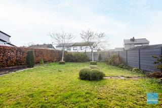 Maison à vendre à Termonde