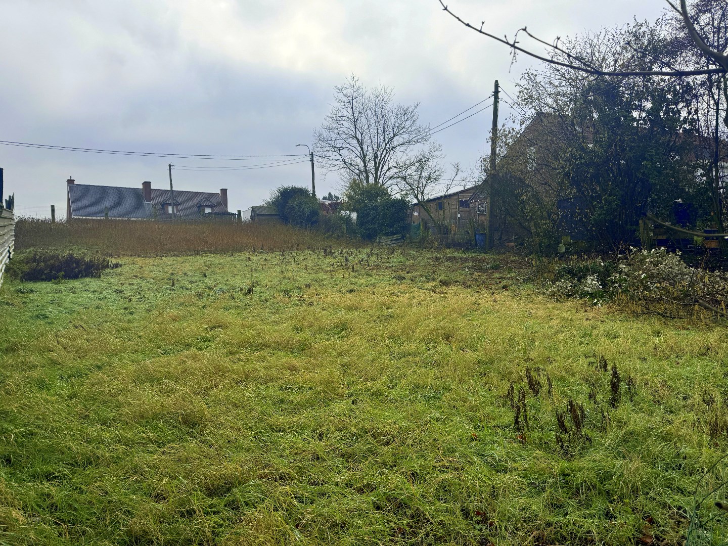 Land for sale in Lauwe - photo 5