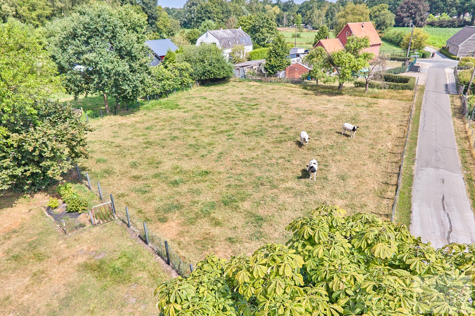 Op te frissen woning met 3 slaapkamers op ruim perceel van 3.100 m² – landelijk gelegen nabij het kanaal - foto 5