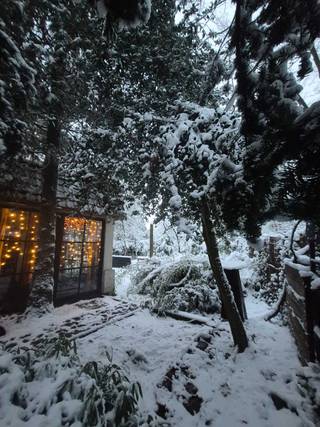 Maison à vendre à Kalmthout