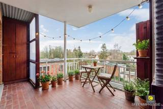 <p><span>Fly Windows</span></p>