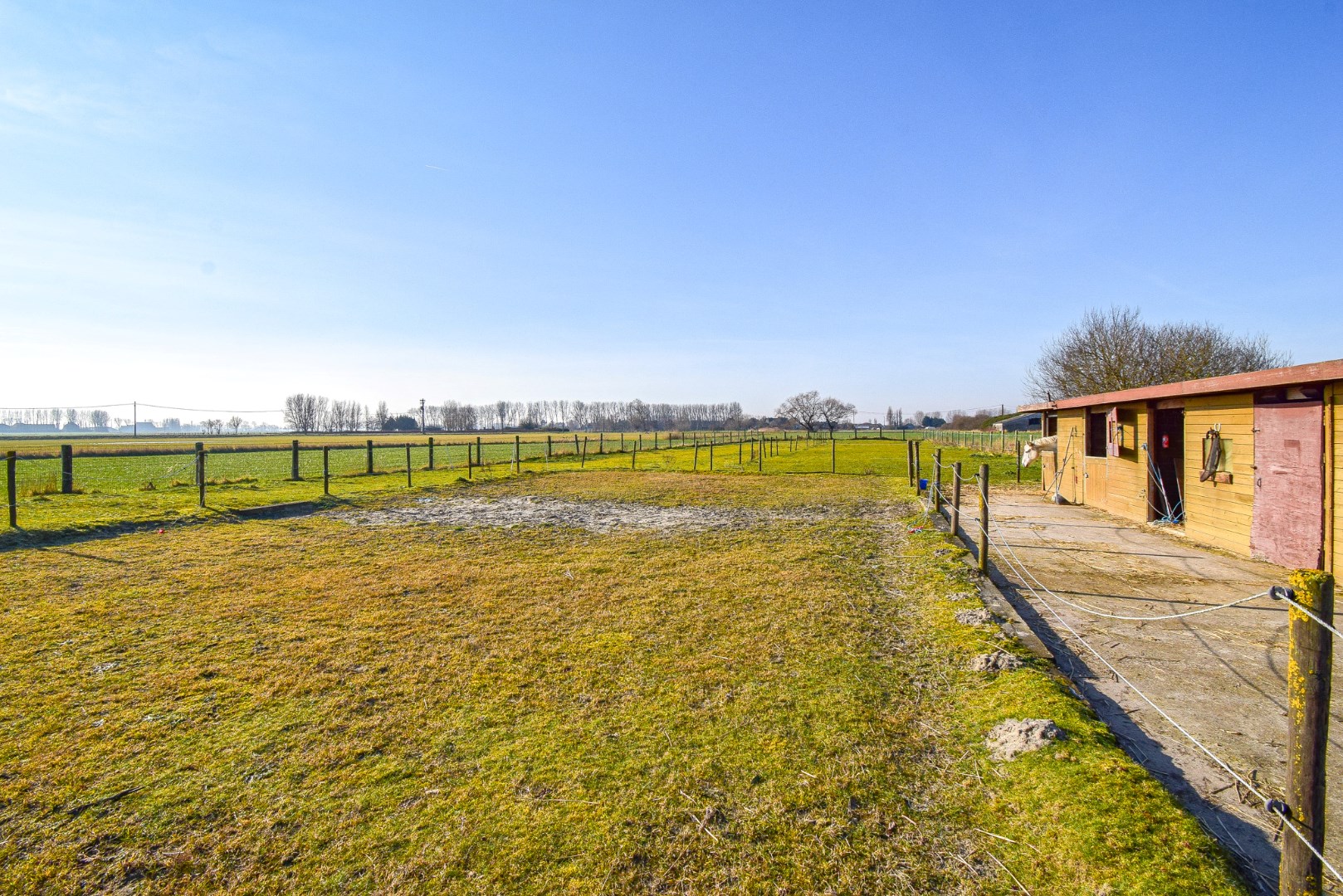 Mooi perceel weiland (2920 m²) met bijhorende paardenstalling op landelijke ligging te Westende - foto 4
