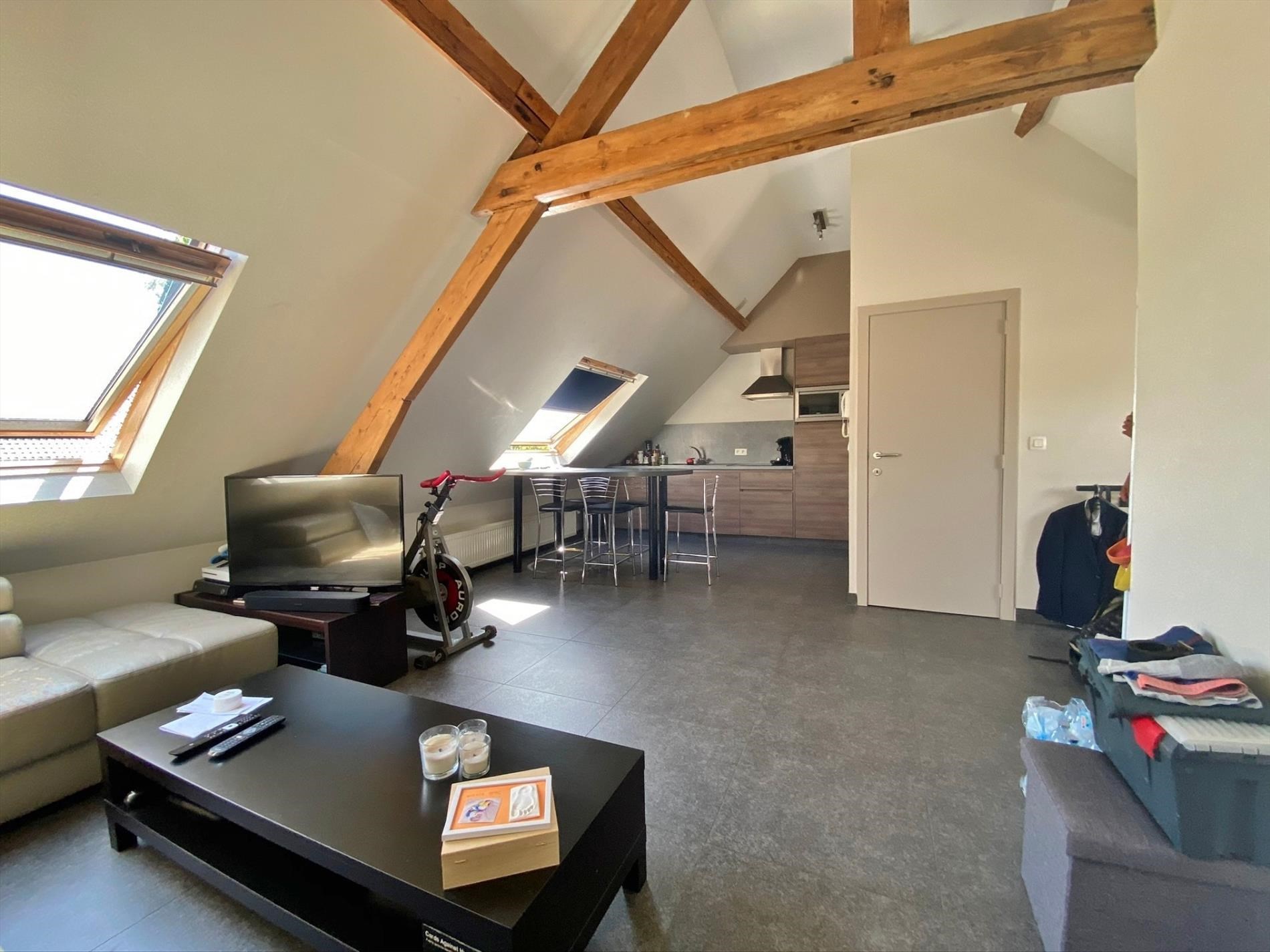 Vernieuwd, bemeubeld dakappartement nabij het centrum en station. - foto 3