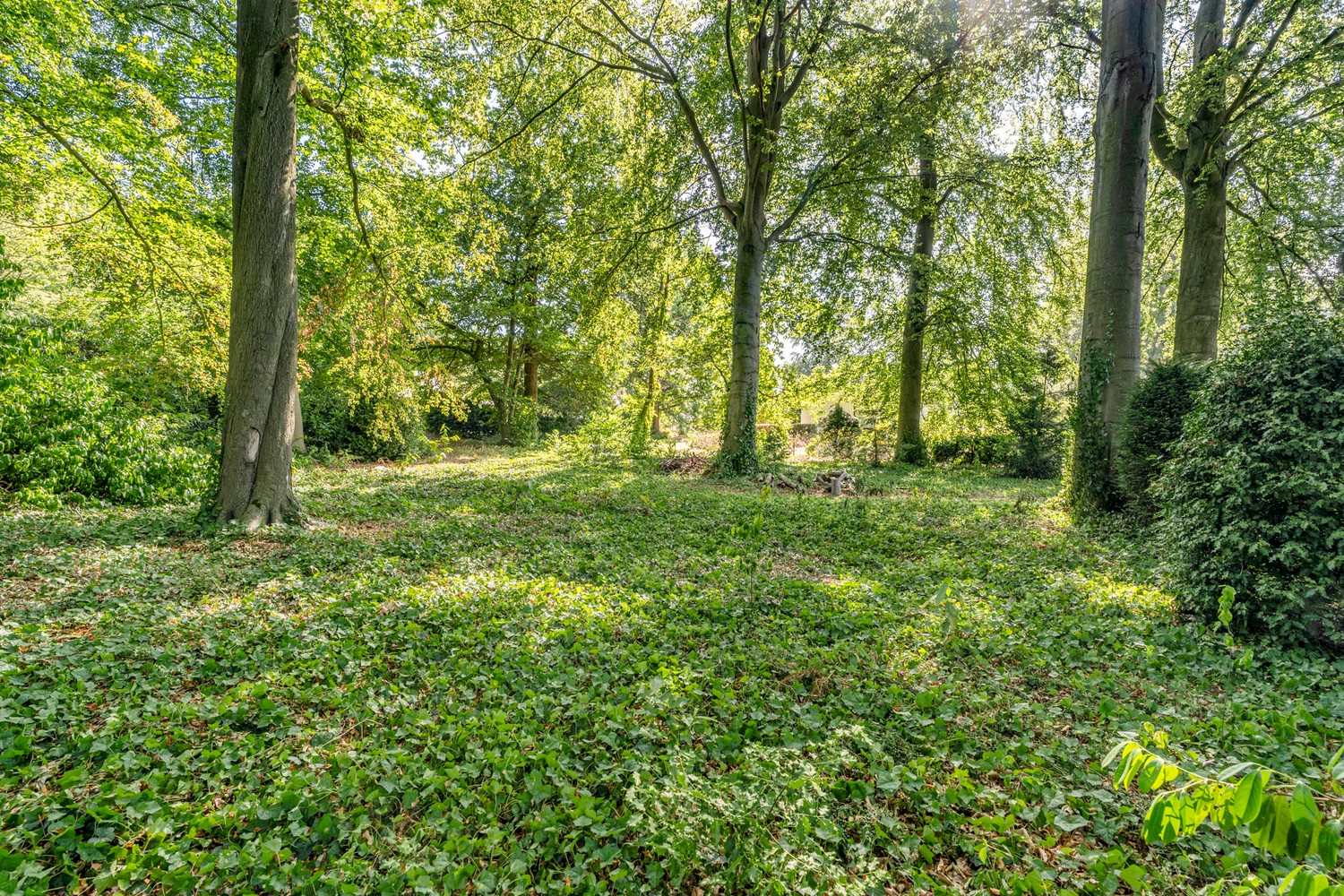 Uitzonderlijke breed en zuidgericht bouwperceel in residentieel Linden - foto 4