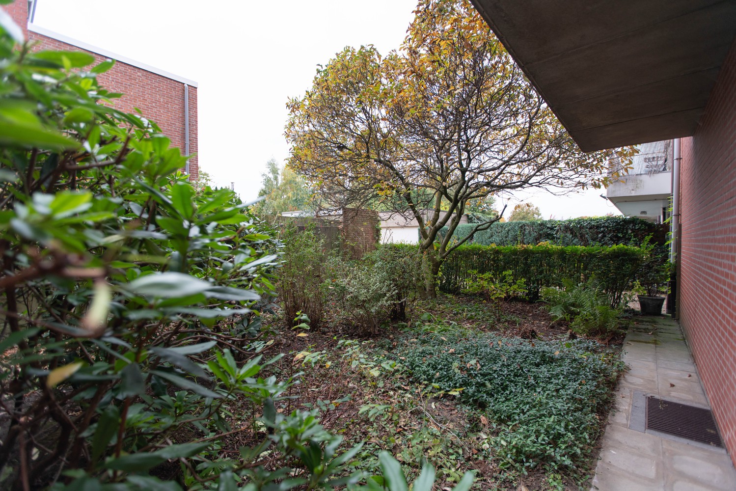 3 Bedroom apartment where warmth and space come together – EPC A - photo 5