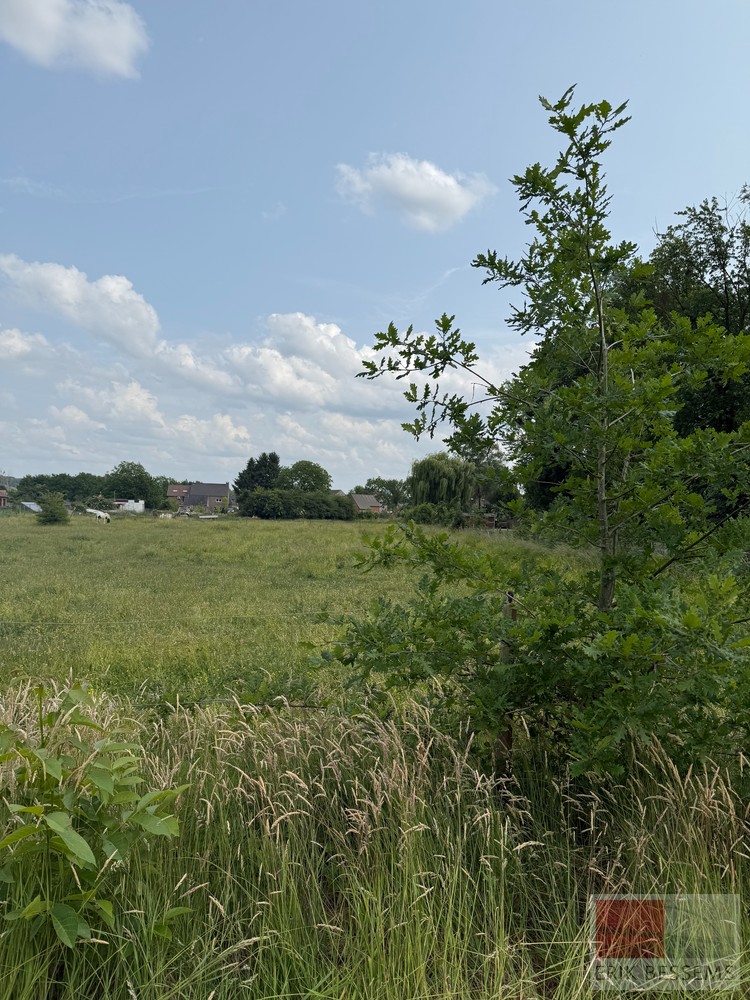 Terrain à vendre à Uikhoven - photo 5
