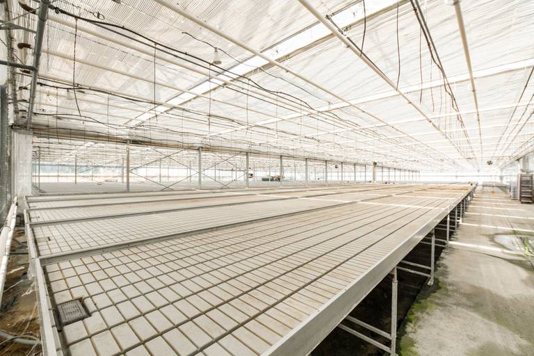 Welgelegen serrecomplex, ideaal voor agrarische activiteiten - foto 10