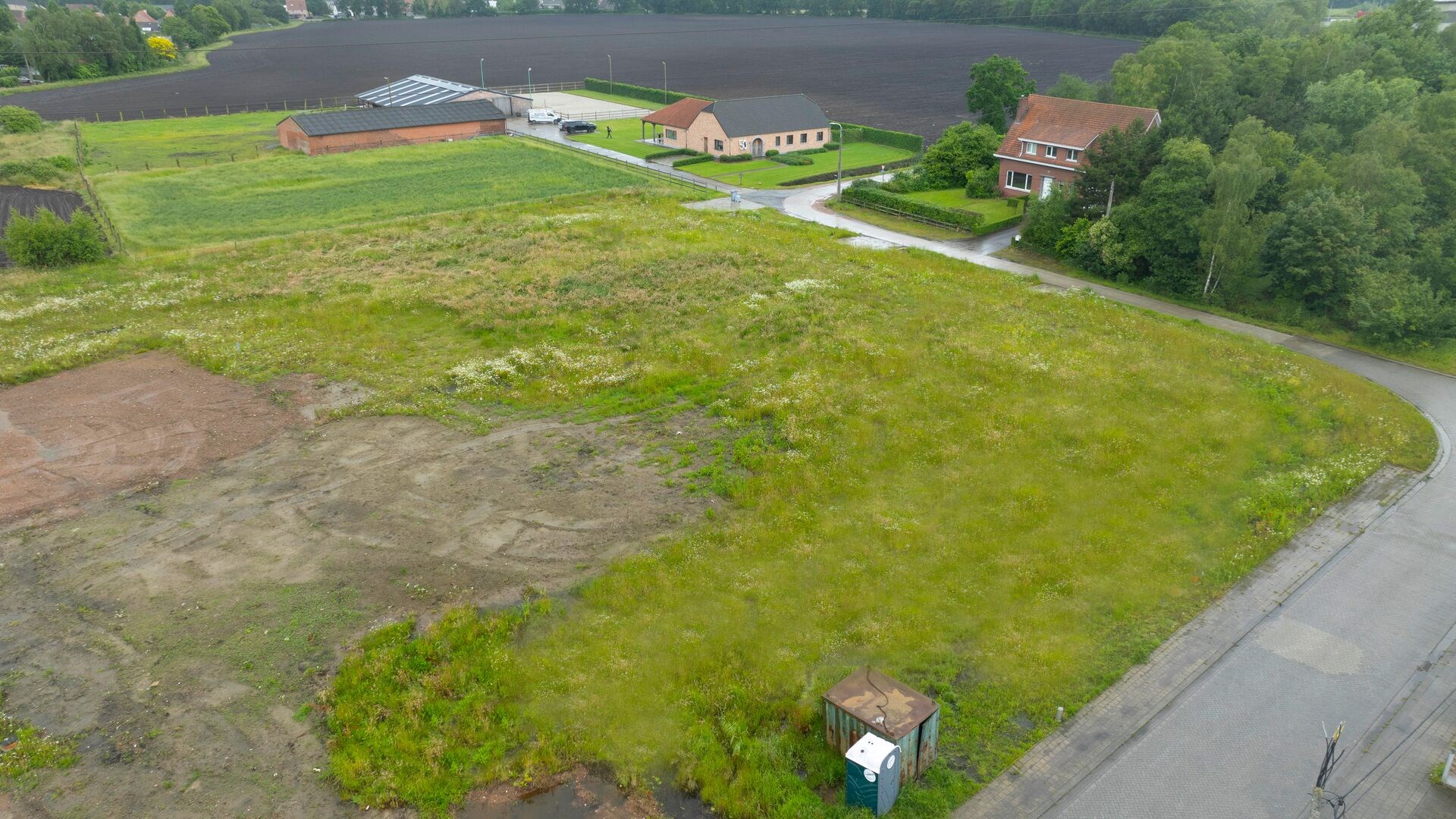 Landelijk gelegen verkaveling Hoevestraat Beerse - Lot 6 - foto 5