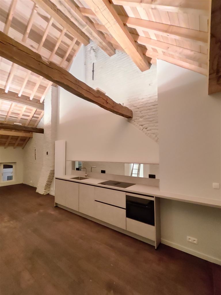Luxe duplex loft op de tweede verdieping met 2(+1) slaapkamers, ruim terras en optioneel een staanplaats, gelegen in het centrum van Maaseik. - foto 3