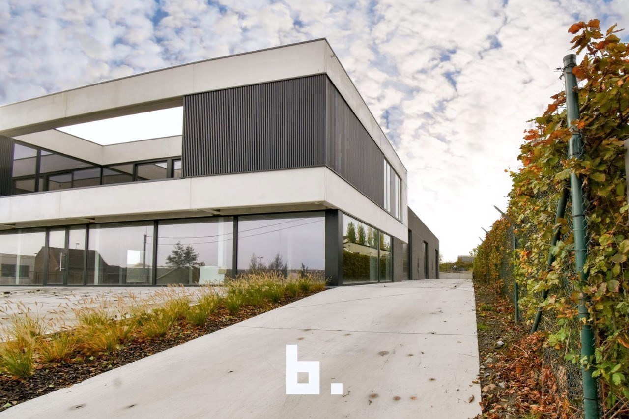 Magazijn (235m²) met sectionaalpoort (4mx4m) - foto 4