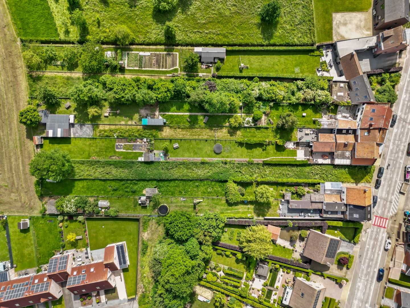 Bouwgrond te Amougies met zicht op de Kluisberg / Terrain à bâtir à Amougies avec vue sur le Mont de l’Enclus - foto 4