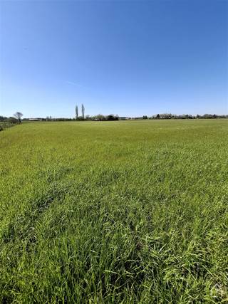 <p>Deze goed bereikbare percelen weideland ( geen bouwgrond ! ) is gelegen aan de rand van Sint Katelijne Waver. <br />U heeft er gemakkelijke toegang toe, zelfs met uw zware landbouwmachines via een doodlopende geasfalteerde straat. <br />Natuurlijk kan u dit perceel vruchtbare grond ook benutten om al uw buitengewassen op te telen. <br />Met een totale oppervlakte van ruim 1.55 hectare loont dit de moeite om te exploiteren. <br />Heeft u paarden of andere dieren en op zoek naar bijkomende weides? Ideaal want de percelen zijn gemakkelijk af te spannen. <br />Dank zij de rustige ligging zullen de dieren er in alle rust kunnen grazen. <br />Nieuwsgierig geworden? Neem dan vlug contact met VLIMMA Vastgoed op 0494.12.01.01 om verdere mogelijkheden te bespreken. <br />Heeft u een pand of gronden te koop, of wilt u gewoon een GRATIS SCHATTING? Ook daarvoor kan u ons contacteren op 0494.12.01.01</p>