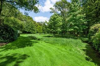   A un jet de pierre de Turnhout se trouve cette réserve naturelle d'environ 8,7 ha avec des domaines (château) attenants. Vivre dans la nature...