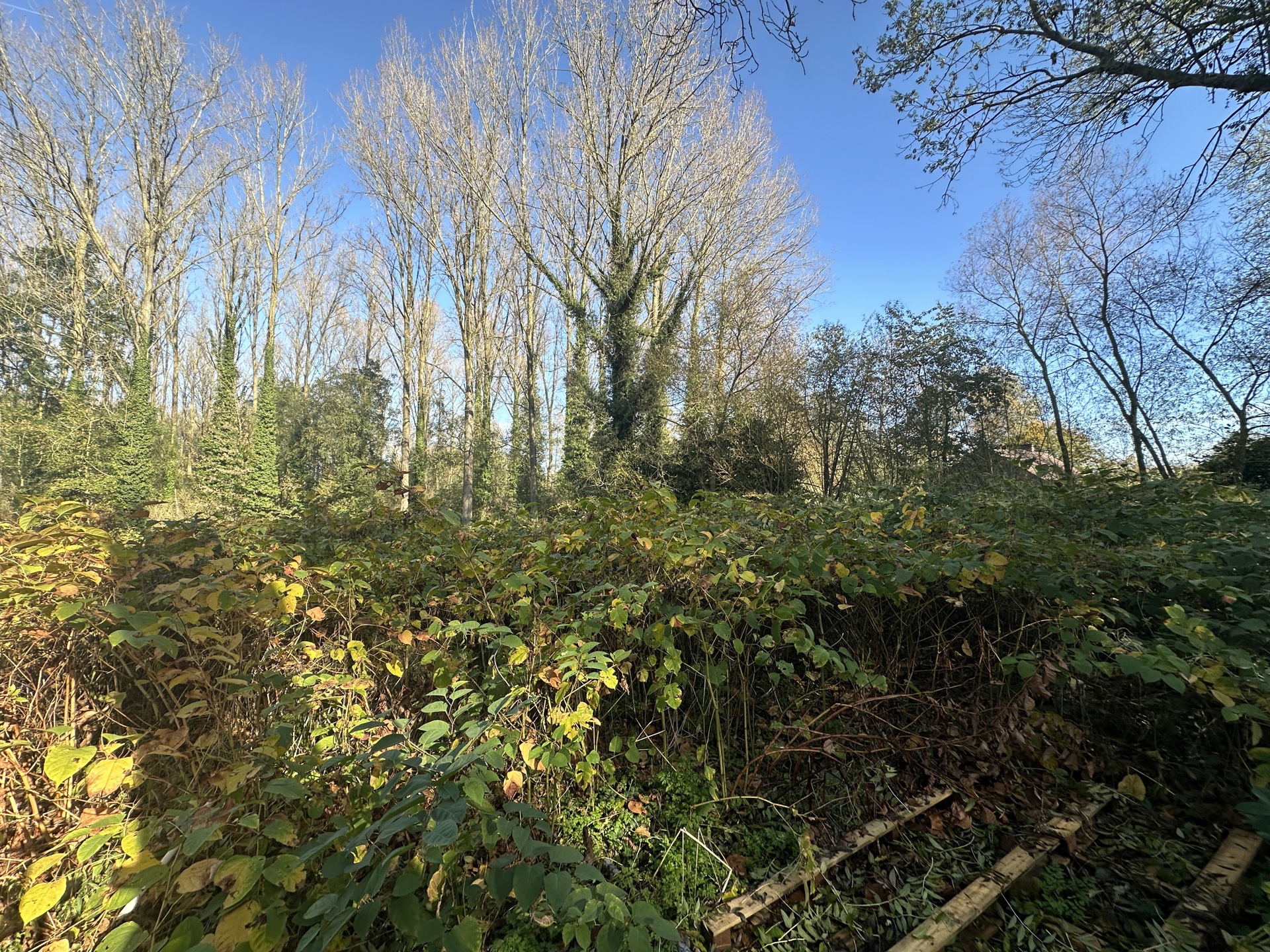 Land for sale in Lessines - photo 2