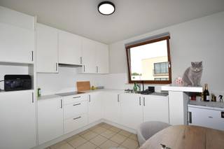 Lokerenstraat 102 is gesitueerd in het centrum van Turnhout, doch rustig gelegen, met verschillende faciliteiten in de nabije omgeving. <br /><br />Gelegen op de 3de verdieping (lift aanwezig). Geschikt bevonden voor 1, max. 2 personen. <br /><br /><strong> INDELING </strong><br />• Inkomhal <br />• Ruime slaapkamer (12m²). <br />• Badkamer met douchecabine, toilet, en een enkel lavabomeubel met spiegel- en opbergkast.<br />• Lichtrijke leefruimte met (vernieuwde) open keuken voorzien van een inductie kookplaat inclusief afzuigkap, ingebouwde ijskast. Alle andere toestellen zijn zélf te voorzien. <br />Aansluitend treft men de berging/ technische ruimte met aansluiting voor de wasmachine.<br /><br />Tenslotte beschikt het appartement nog over een garagebox met manuele poort. <br /><br /><strong> BIJZONDERHEDEN </strong><br />Beschikbaar vanaf 01 juli 2026 <br />Gunstig EPC - 167 kWh/m²<br />Gemeenschappelijke kost: 70,00 EUR/ maand (forfait) <br />CV op gas <br />GEEN terras <br />Lift aanwezig <br />Voorzien van verlichting (armaturen) <br />Gedeeltelijk voorzien van raamdecoratie<br />De abonnementen/kosten voor persoonlijk gebruik van water, aardgas, elektriciteit en telecom dienen door de huurder gedragen te worden