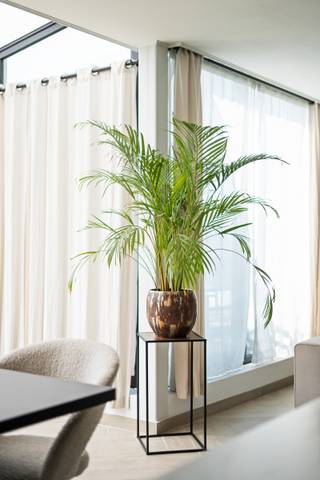 Apartment for sale in Kapellen