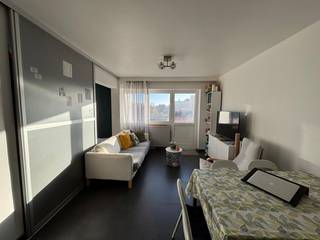 Gerenoveerd instap klaar bemeubeld 1 slaapkamer appartement in Leuven centrum. Het appartement bestaat uit een inkomhal, keuken (vernieuwd in 2010), badkamer (vernieuwd in 2015) met douche/wastafel/toilet, woonkamer, slaapgedeelte. Volledig opgeverfd, vaste verlichting en bemeubeld. Terras. Berging in de kelder. Lift aanwezig. Huidige huurders vertrekken op 01/01/2026. Appartement is gelegen op de 5e verdieping. Voor meer info contacteer ons op info@vastgoedfransen of bel 011/ 64 55 00.