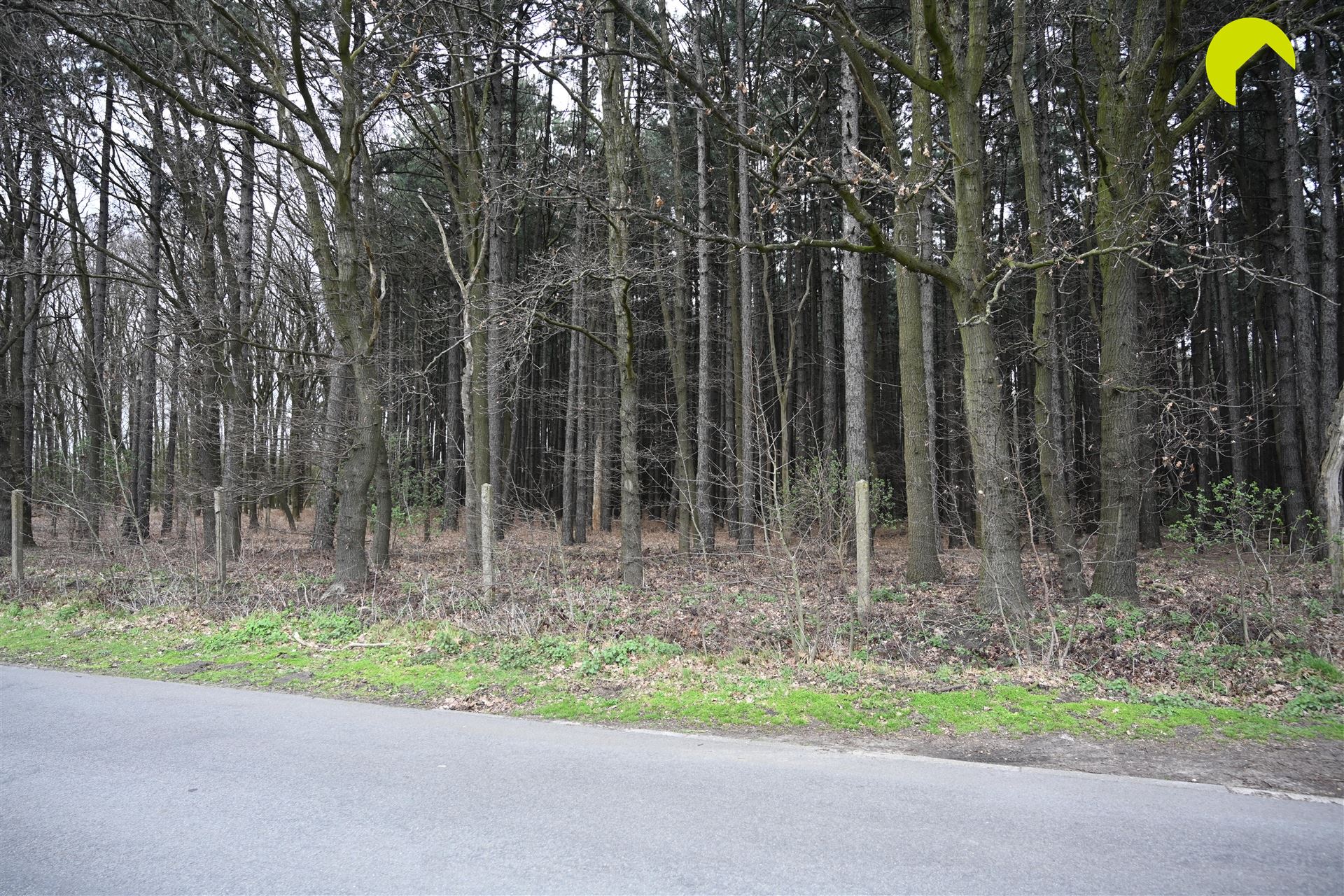 Mooie bosgrond met loofbomen te Wachtebeke! - foto 5