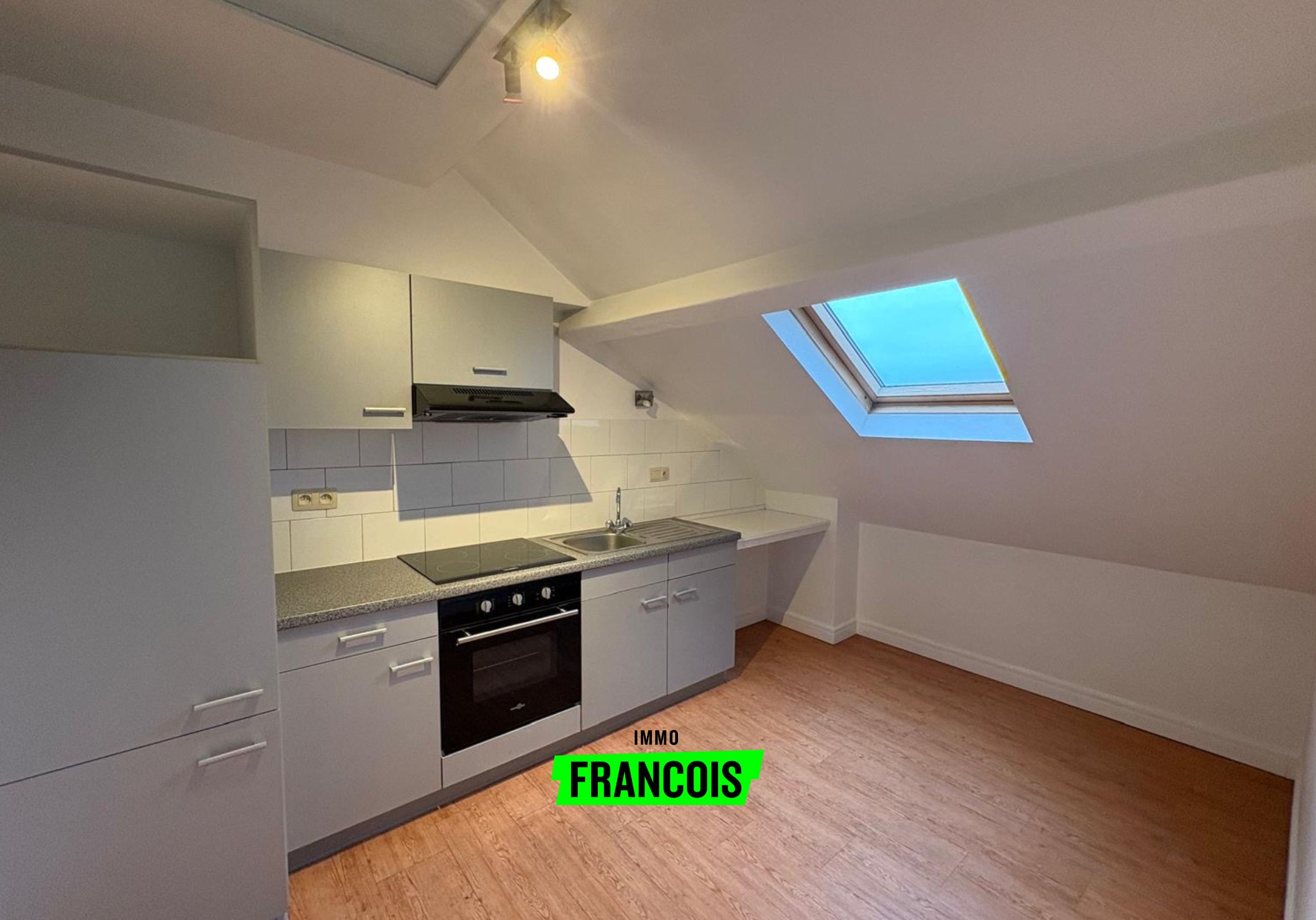 Knus 1 slaapkamer appartement te huur op Torhoutsesteenweg Oostende! - foto 1