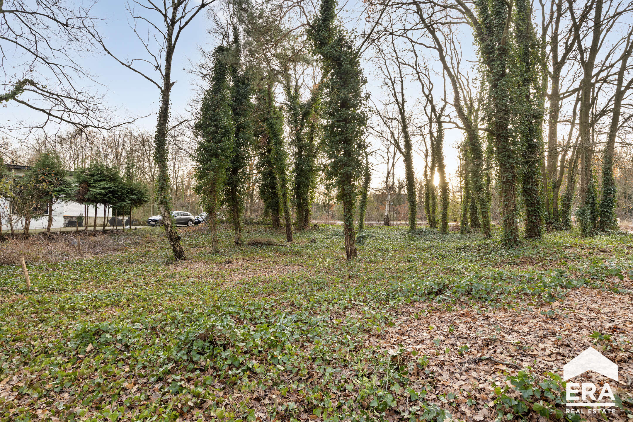 Terrain à vendre à Lommel - photo 5