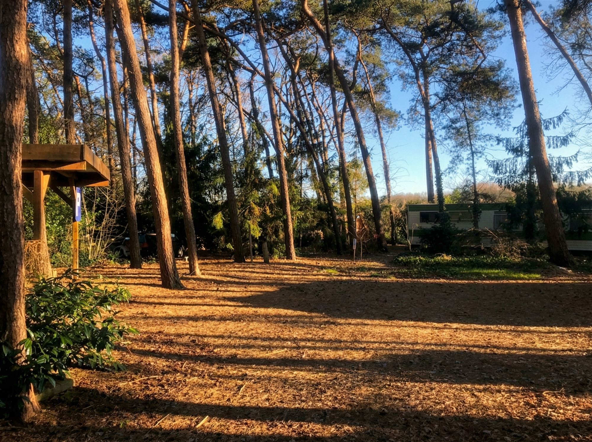 Land for sale in Westerlo - photo 3