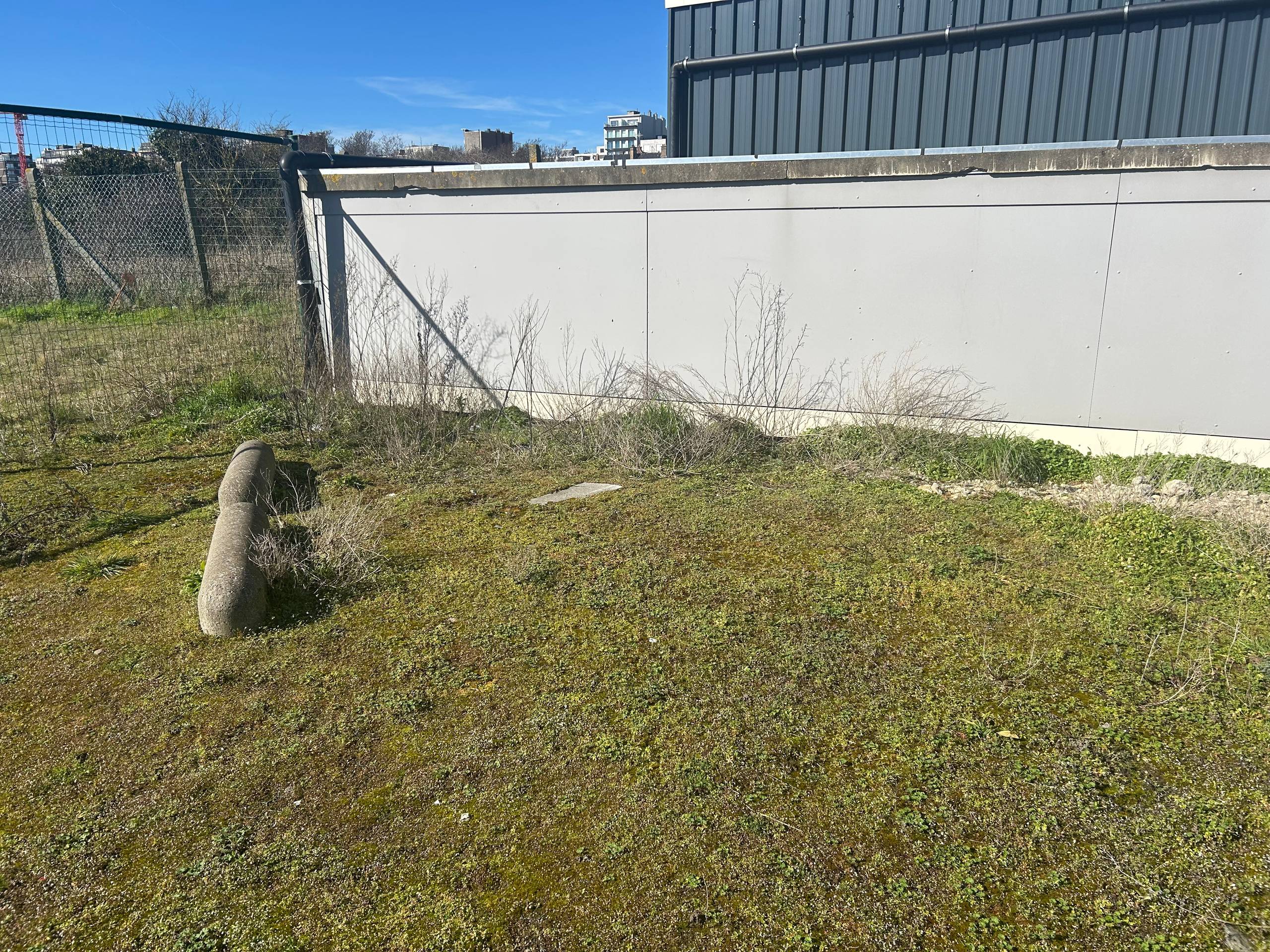 Grasparking te huur te Middelkerke - photo 3