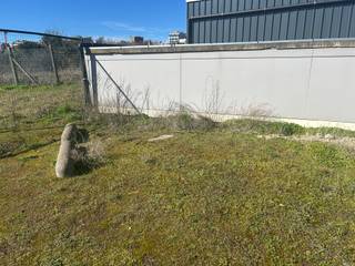  * Buitenparking op gras - met hek * Gelegen op wandelafstand van de Zeedijk  * Beschikbaar vanaf 01/04/26 * Wordt verhuurd op jaarbasis, huurprijs...