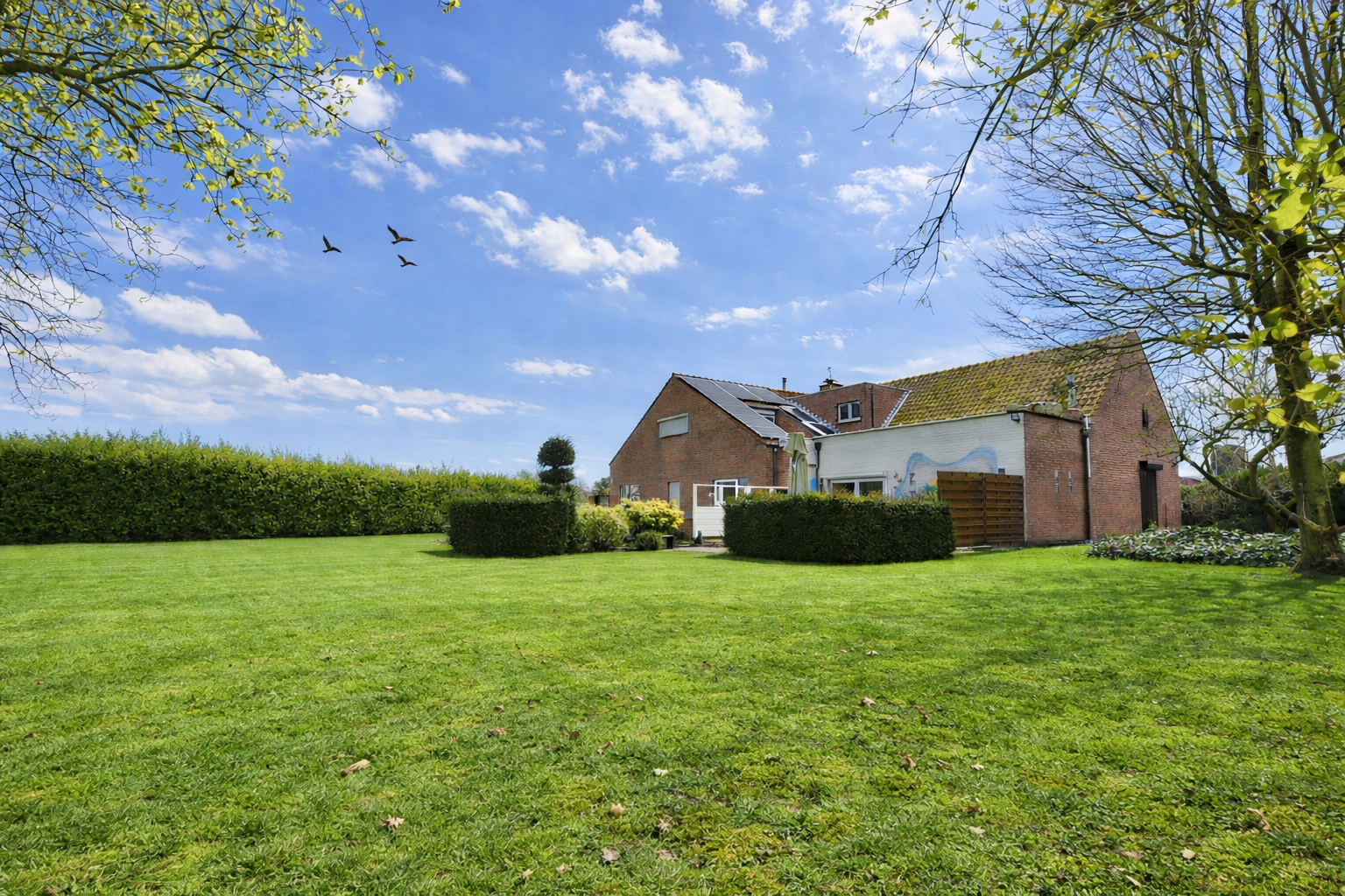 Handelspand met woonst, prof keuken, terrassen, tuin en gar voor 559.000 EUR - foto 4