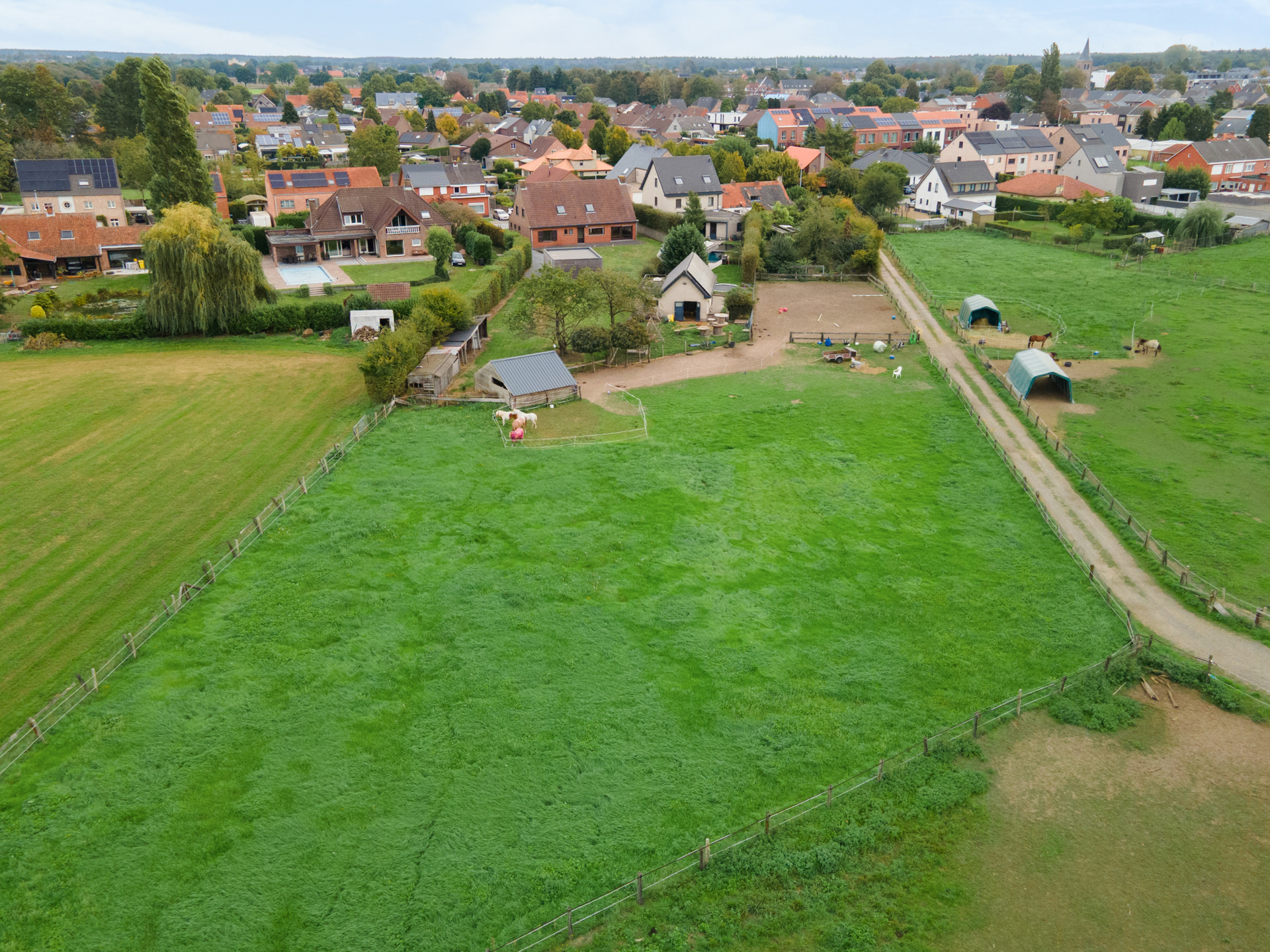 …