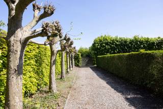 In www.tmotje18.be op het einde van een doodlopende straat stellen we jou graag dit perceel bouwgrond voor van 1.210 m². Wie 't Motje zegt in Roeselare, zegt residentieel, rustig, nabijheid, ... zalig om er te wonen! Ontdek de bouwmogelijkheden op de website en geef gerust een belletje voor een bezoek ter plaatse.
