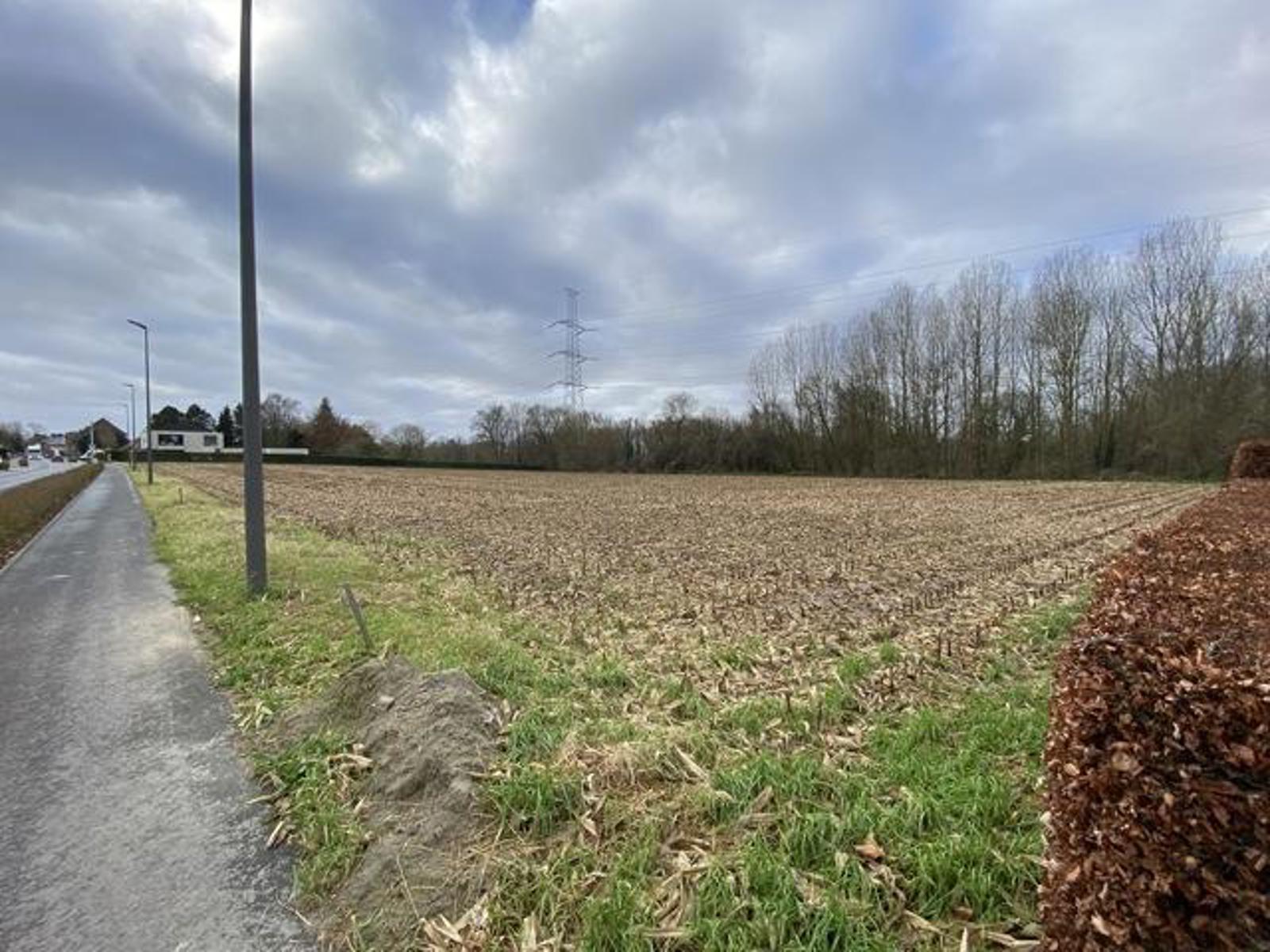 Open bebouwing in Dilbeek – Lot 8 - foto 4