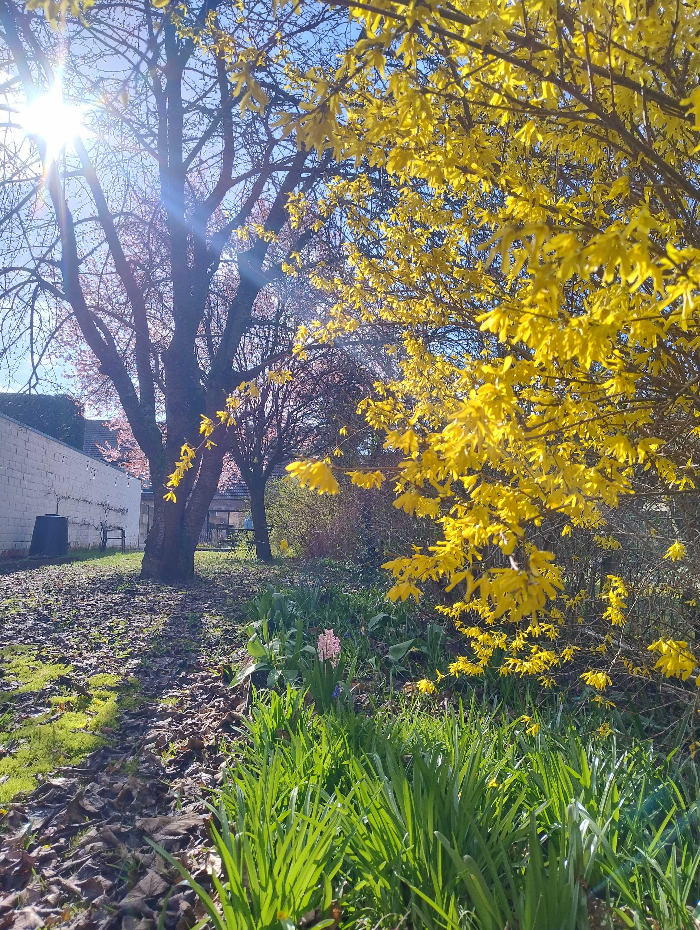 Huis te koop in Mechelen met 3 slaapkamers - foto 4