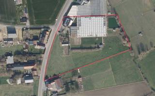 LANDBOUWBEDRIJFSWONING (2001) MET VERGUNDE SERRES (2.150M²) EN EEN LOODS (245M²) GELEGEN OP 1HA 30CA NABIJ HET CENTRUM VAN HALEN
