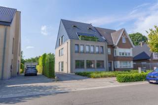 Appartement à louer à Termonde