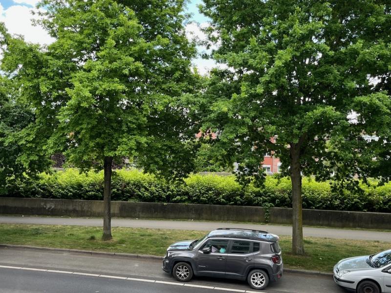 Pettendonk 62 Bus 103 - 2500 Lier - foto 3