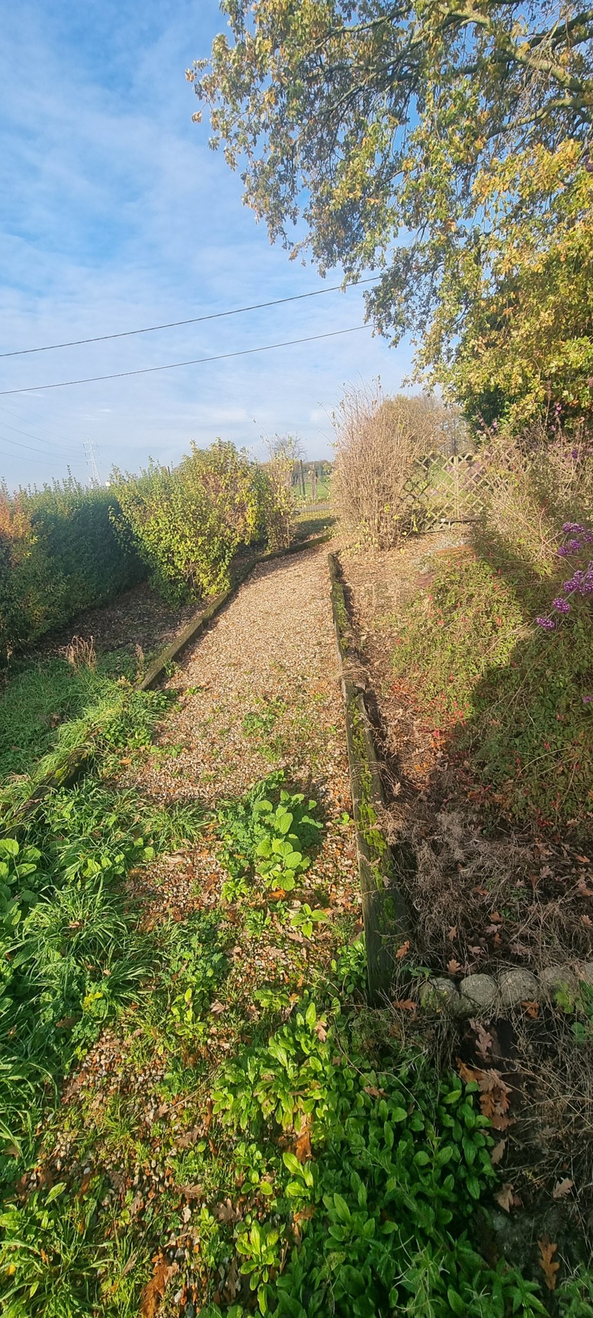 Terrain à louer à Wommelgem - photo 5