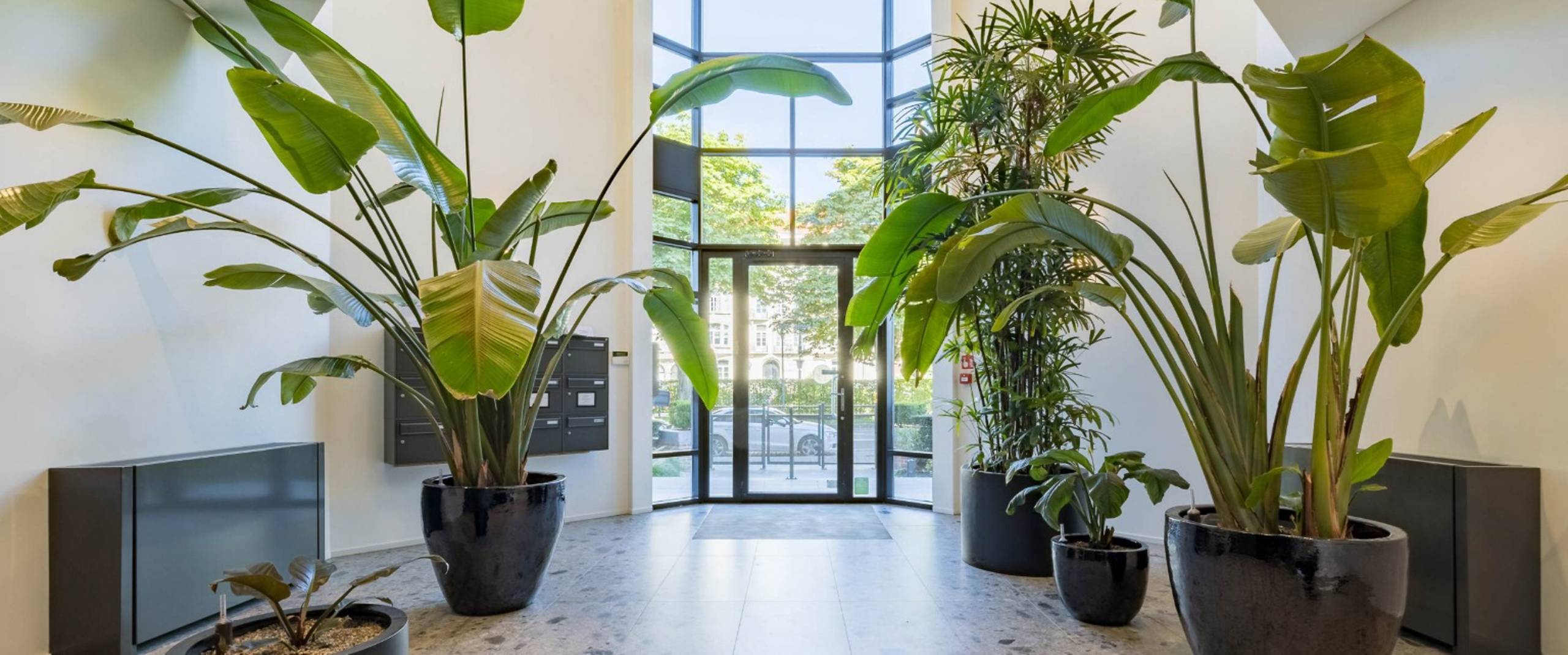 Commercial for rent in Etterbeek - photo 3