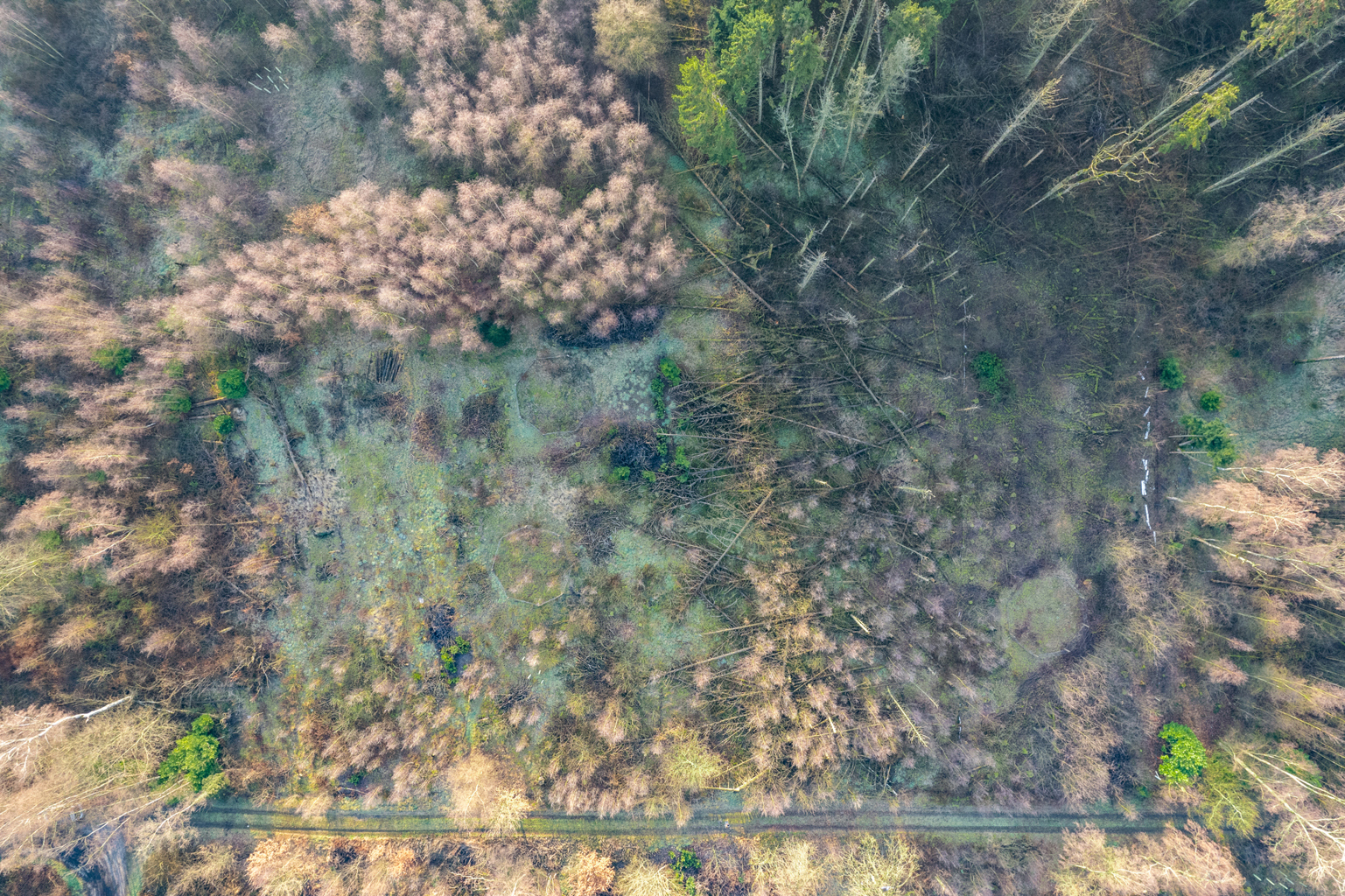 Grond te koop in Brecht - foto 5