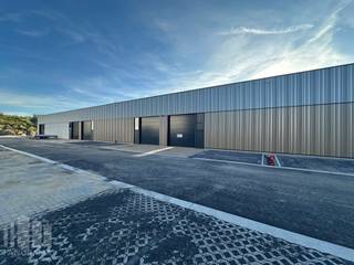 Nieuwbouw KMO-unit te huur met een oppervlakte van <strong>180 m²</strong> en <strong>2 privatieve parkeerplaatsen</strong>.<br /><br />De loods maakt deel uit van het gloednieuwe bedrijvenpark  “Apollo” en ligt op minder dan 2 km van het op- en afrittencomplex van de E17 te Waregem – een absolute <strong>toplocatie voor ondernemers</strong> die belang hechten aan bereikbaarheid in een bedrijvige regio.<br /><br />De bedrijfsunit (brandklasse C) werd kwalitatief en duurzaam opgebouwd met een staalstructuur met geïsoleerde sandwichpanelen met afwerkingspaneel. Met een <strong>vrije hoogte van 6 meter</strong> biedt het magazijn optimale opslag- en werkmogelijkheden.<br />Daarnaast is de unit uitgerust met tal van praktische voorzieningen, waaronder:
<ul>
	<li>Automatische sectionale poort (4 m breed x 4,2 m hoog)</li>
	<li>Aparte toegangsdeur met bovenlicht</li>
	<li>Lichtstraat met geïntegreerde RWA-koepel</li>
	<li>Slijtvaste polybetonvloer met draagvermogen van 1 ton/m²</li>
	<li>Sanitair</li>
	<li>Basisinstallatie elektriciteit</li>
	<li>Individuele regenwaterput van 15.000 liter</li>
</ul>
<strong>Deze veelzijdige bedrijfsruimte is uitermate geschikt voor opslag, distributie, productie, atelier- of ambachtelijke activiteiten.<br />Beschikbaar vanaf september 2026.</strong><br /><br />Contacteer <strong>PANORAMA B2B</strong> voor bijkomende (technische) inlichtingen, plannen of een vrijblijvend plaatsbezoek <strong>056 222 256</strong>.<br /> 
