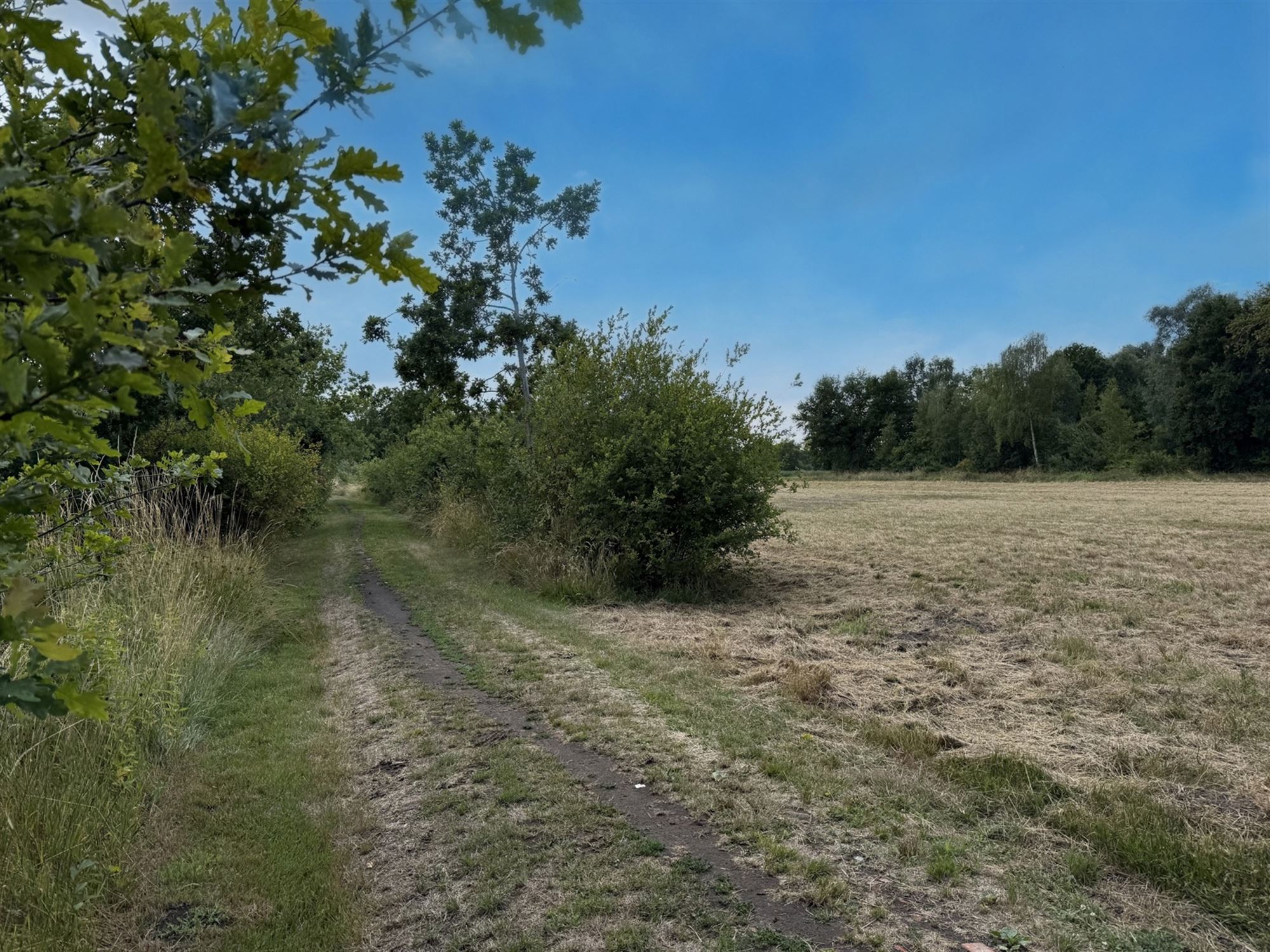 Land for sale in Heist-op-den-Berg - photo 4