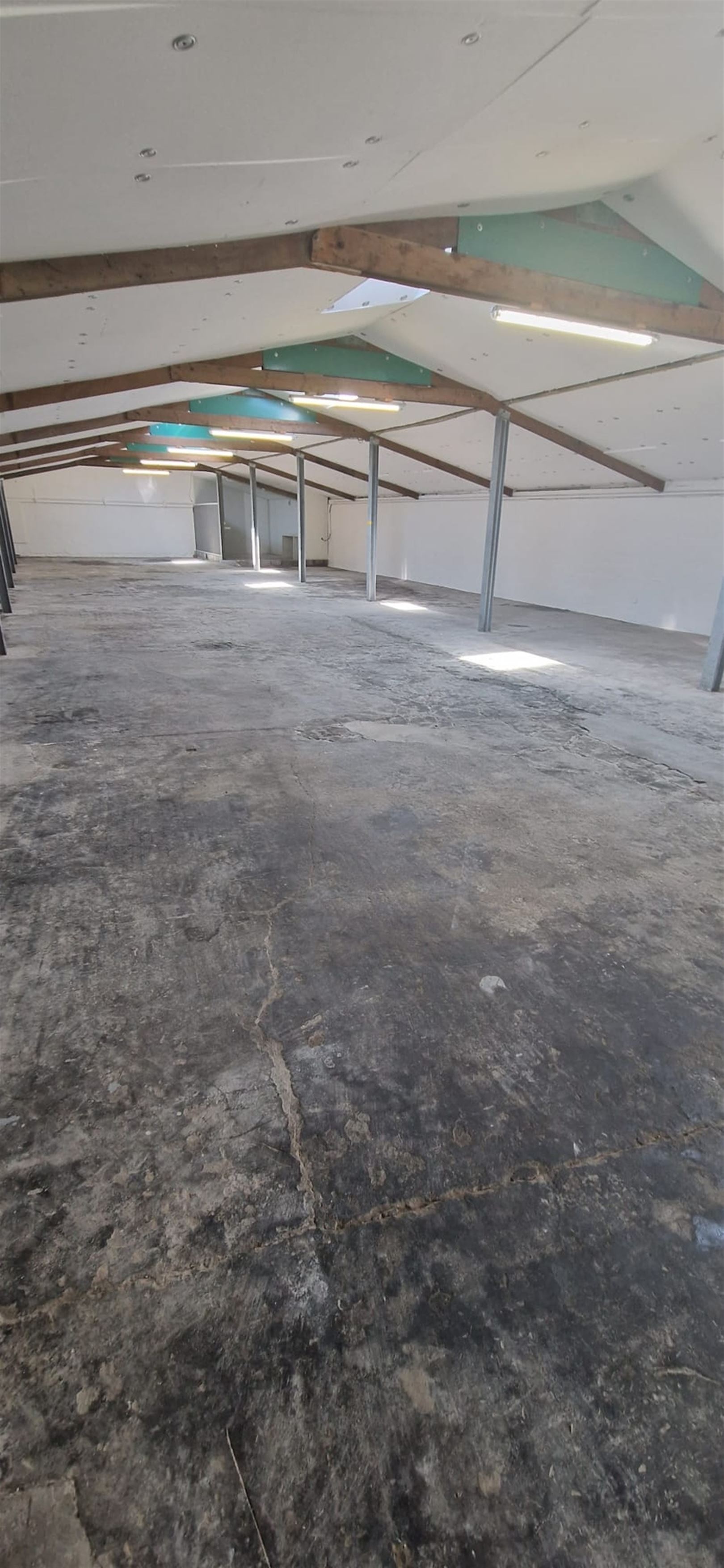 Parking/Garagebox - foto 5