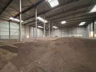 Deze ruime logistieke site in Harelbeke (kant Kortrijk) omvat 4069 m² magazijnruimte met mogelijkheid tot 1200 m² kantoorruimte. Dankzij...