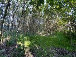 Ruime bouwgrond van 8a 60ca geschikt voor open bebouwing met een voorziene gevelbreedte van +10m vooraan tot 15m breedte achteraan, bijgebouw tot...