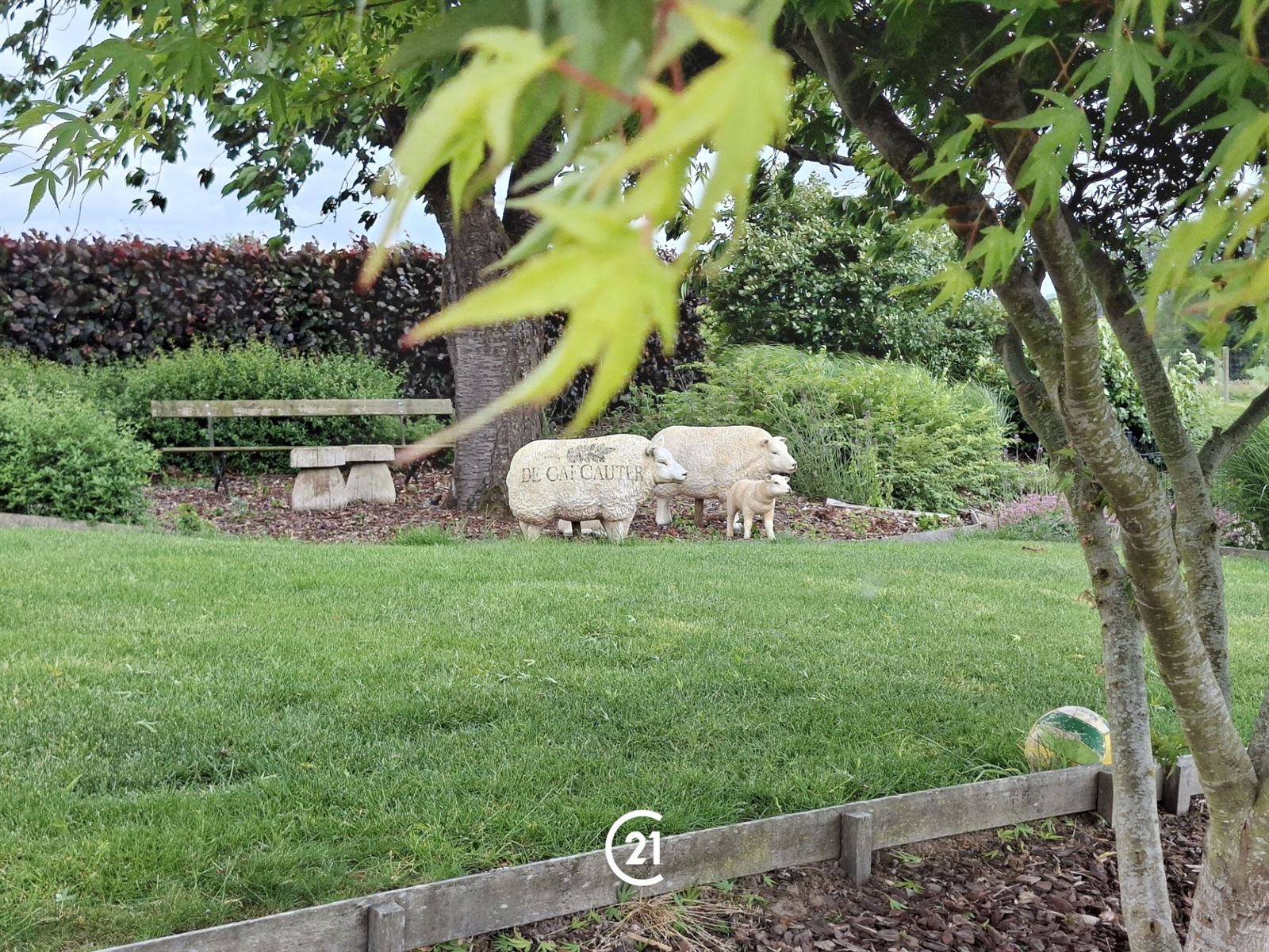 Senioren - luxe verblijf in hartje Pajottenland - foto 4