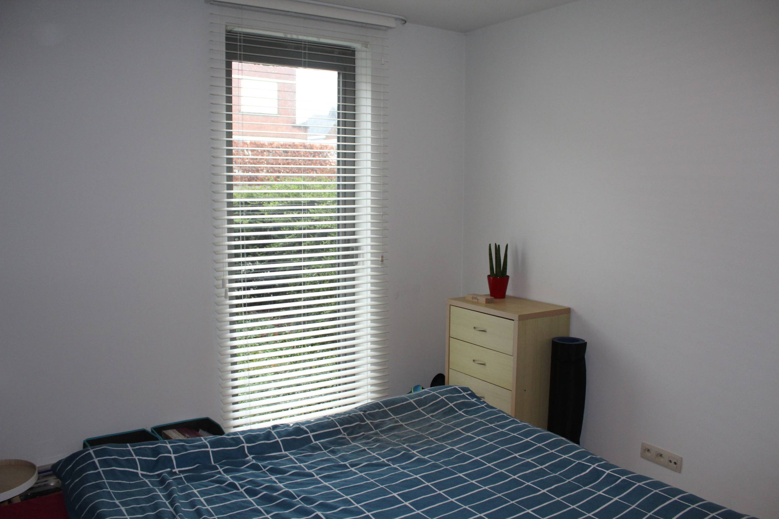 Appartement à louer à Zottegem avec 1 chambre - photo 5
