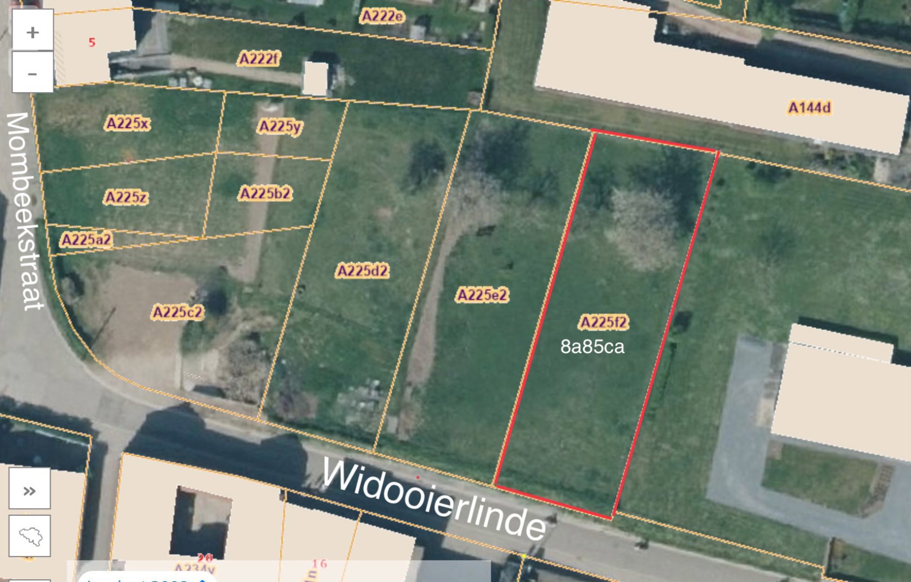 Ruim perceel van  voor  885m² open bebouwing in Widooie (Tongeren), perfect voor natuurliefhebbers! - foto 1