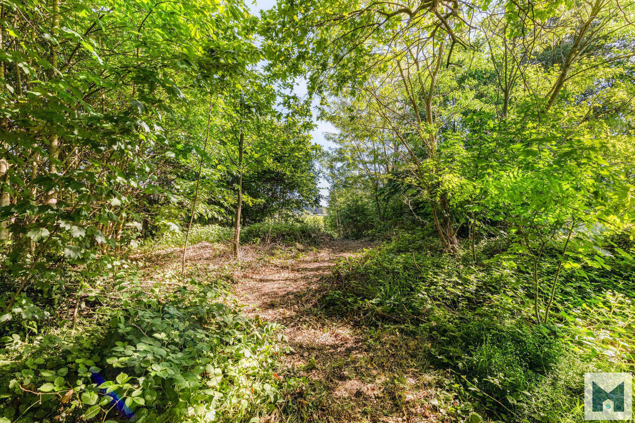 Prachtig perceel met mogelijkheid om te bouwen te Malderen! - foto 5