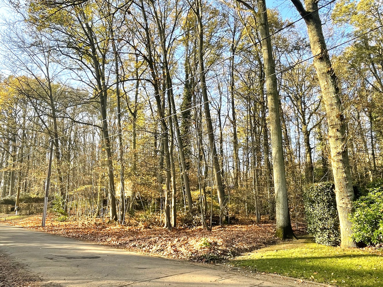 Exclusief perceel bouwgrond te Hoog-Linden - foto 1